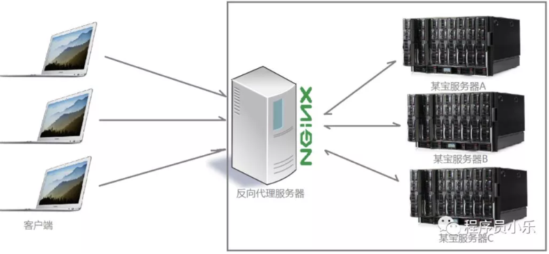 Nginx 是什么?有什么作用? 第4张 Nginx 是什么?有什么作用? 第4张