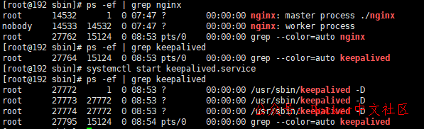 一文读懂 Nginx  第37张